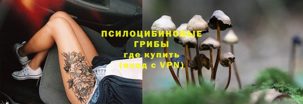 стафф Балахна
