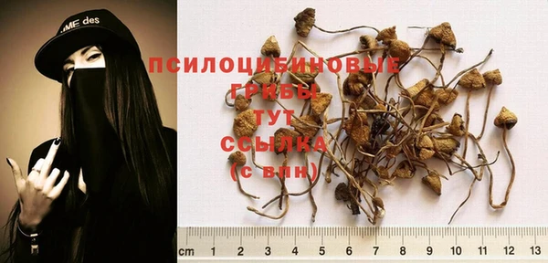 a pvp Баксан