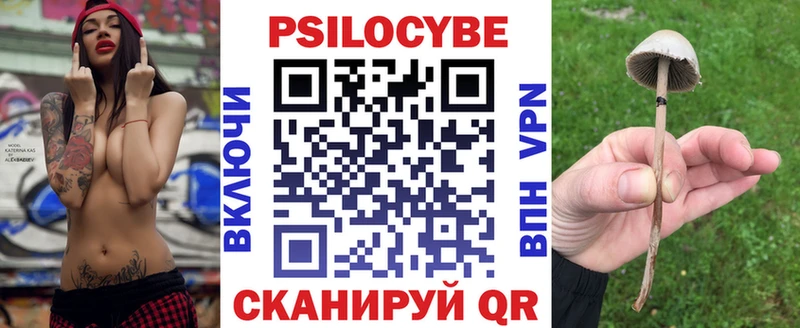гидра рабочий сайт  что такое   Выборг  Псилоцибиновые грибы GOLDEN TEACHER 